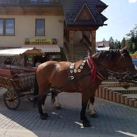 Pokoje Gościnne Pod Giewontem-2